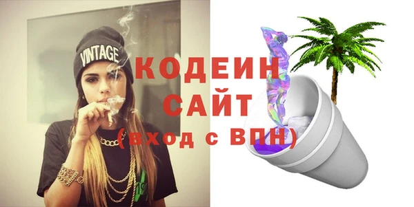 сатива Сатка