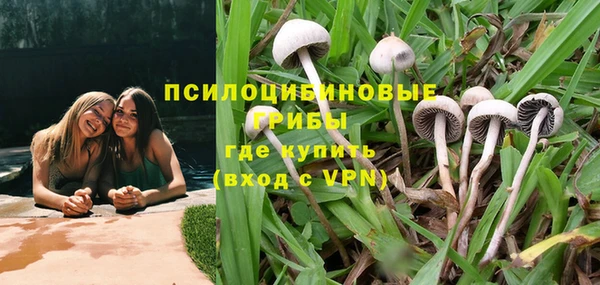 кокаин Алексеевка