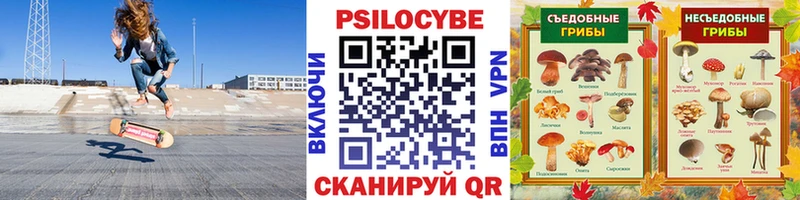 Псилоцибиновые грибы Psilocybe  Андреаполь 